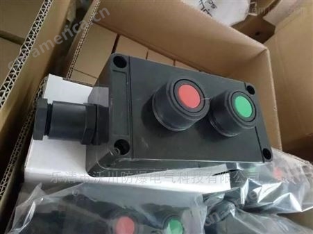 ZXF8030-B1防爆防腐主令控制器|全塑外壳CT6