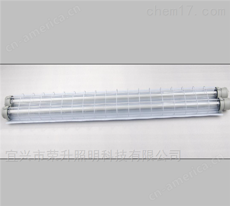 双管HRY91-Q防爆防腐全塑LED荧光灯（IIC）