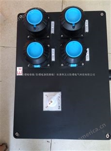 三防电源插座箱-BXS8050-6/16A380V三防插座箱