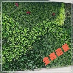 西安仿真植物墙厂家 户外绿植墙制作 节假日布置绿植婚庆花墙