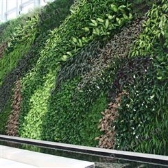 餐厅绿植装饰墙 绿植墙围墙施工 金森可定制各类仿真植物墙 造型优美
