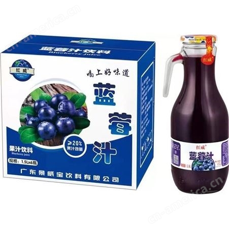 蓝莓苹果百香果芒果果汁饮料1.5LX6玻璃瓶装