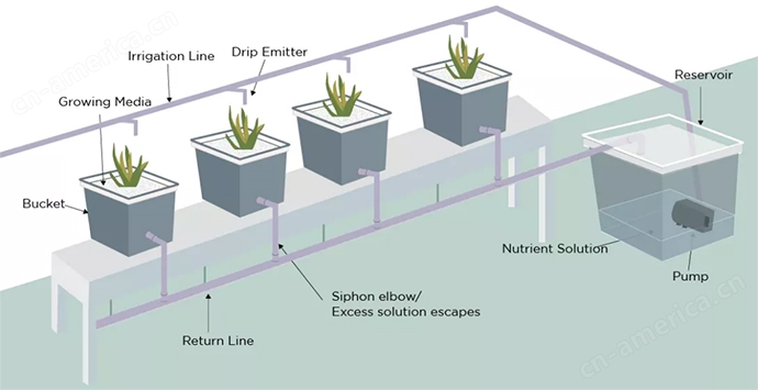 荷兰种植桶系统流程图