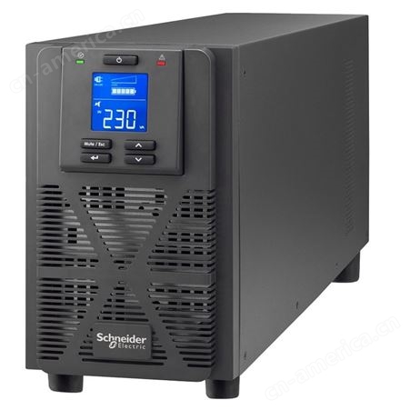 UPS不间断电源APC施耐德SPM1K 1000VA 800W在线式服务器SP1K稳压
