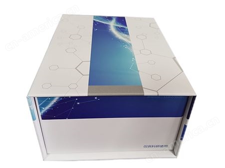 乳酸脱氢酶(LDH)测试盒(微量法)