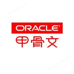 ORACLE数据库甲骨文数据库oracle11G标准版数据库软件