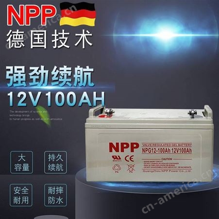 NPP耐普NPP12-100 12V100AH免维护铅酸蓄电池