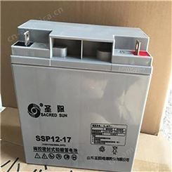 圣阳SSP12-17铅酸蓄电池12V17AH免维护备用/应急消防报警主机/UPS