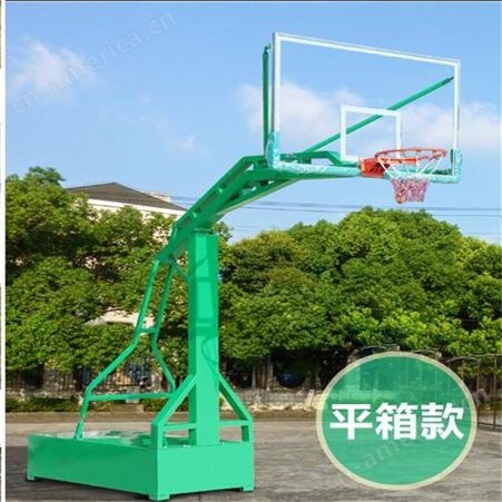 华丽体育成人儿童共用可升降篮球架室内户外厂家生产批发移动式篮球架