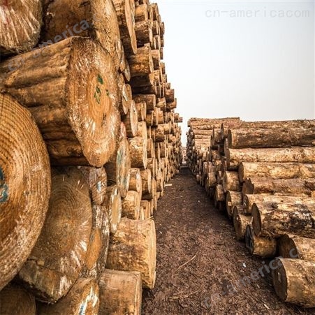 进口木材报关|原木进口报关公司|木材进口清关