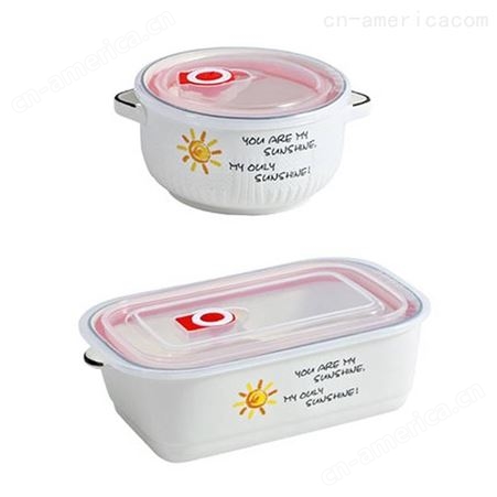 微波炉加热分隔型陶瓷饭盒 上班族带饭保鲜盒套装 密封带盖碗便当盒