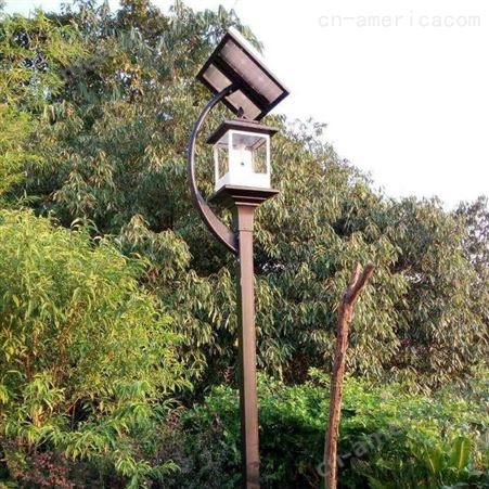 江苏扬州 路灯景观灯捕虫器城市园林、美丽乡村、路灯专用多功能杀虫灯
