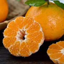 现摘湖北椪柑芦柑新鲜水果柑橘非丑橘蜜桔橘子橙子孕妇水果10